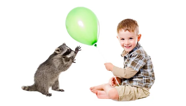 Fröhlicher Junge Mit Luftballon Und Waschbär Auf Weißem Hintergrund — Stockfoto