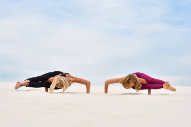 Yoga yapan iki güzel genç kadın Ashtavakrasana 'ya poz veriyor.