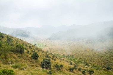 Bulutlar dağlar. Horton Plains Milli Parkı, Sri Lanka. Hiking trail