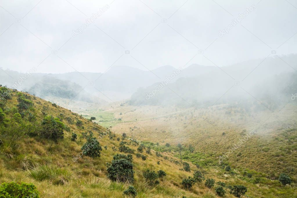 Mountains in the clouds. Horton Plains National Park, Sri Lanka. Hiking trail