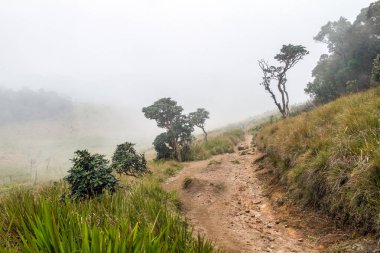 Horton Plains Milli Parkı. Sri Lanka. Bulutlar, sis ve dağlar