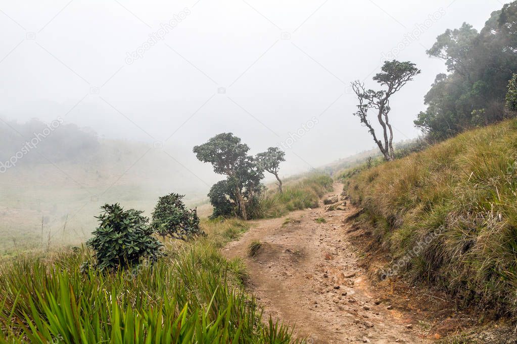 Horton Plains National Park. Sri Lanka. Clouds, Fog and Mountains