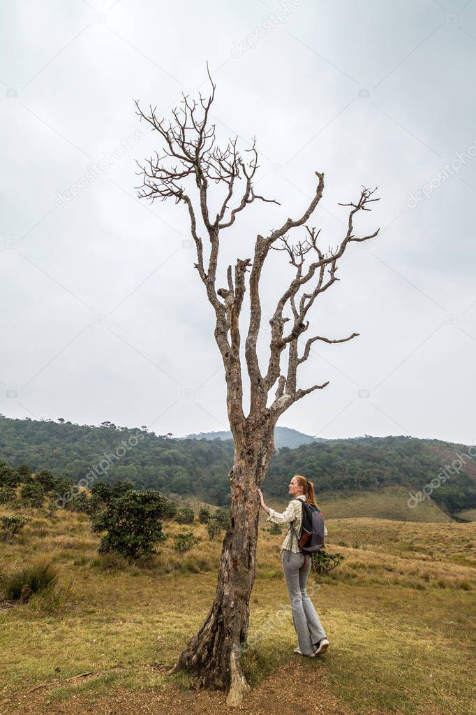 Girl near an unusual dry tree. Horton Plains National Park. Sri Lanka