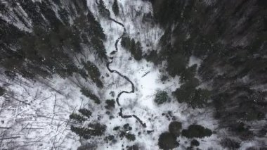 Kış orman. Karlı kış ormandaki nehir üzerinde uçan. Hava