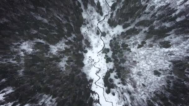 Winterwald Fliegen Den Wolken Vom Fluss Den Winterlich Verschneiten Wald — Stockvideo