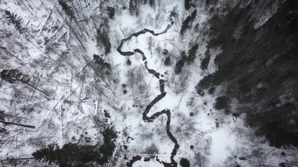 Winter Forest Flying River Winter Snowy Forest Aerial — Stockvideo