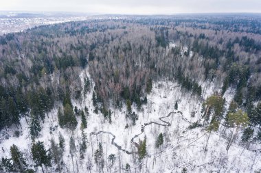 Kış orman. Karlı kış ormandaki nehir üzerinde uçan.