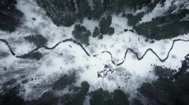 Havadan görünümü bir vahşi soğuk kış orman. Ormandan gelen Panorama Köyü