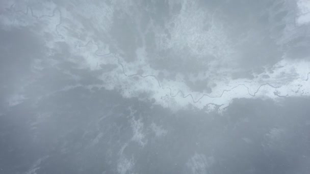 野生の冷たい冬の森の眺め 雲から雪に覆われた冬の森の川へのフライト — ストック動画