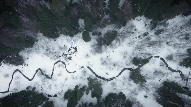 Letecký Pohled Divoké Chladného Zimního Lesa Panorama Řeky Lesa — Stock video