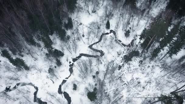 Vista Aérea Bosque Frío Salvaje Del Invierno Volando Sobre Río — Vídeos de Stock