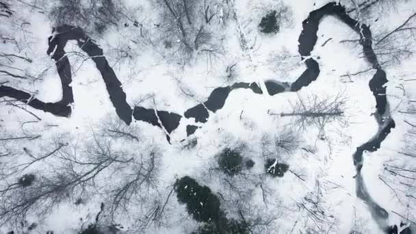 Vista Aerea Una Foresta Selvaggia Invernale Panorama Dal Fiume Ghiacciato — Video Stock