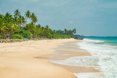 Güzel tropikal plaj