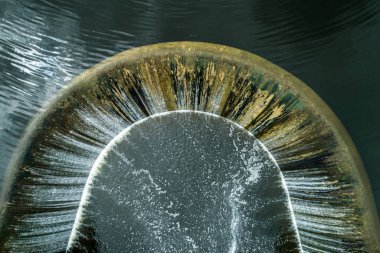 Yarım daire huni şelalesi. Yukarıdan görüntüle