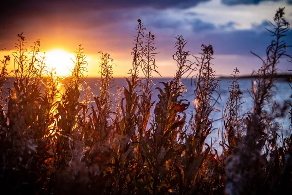 Sunset in the arctic tundra over the North Sea — Stock Photo, Image