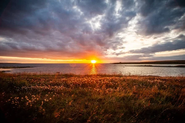 Sunset in the arctic tundra over the North Sea — Stock Photo, Image