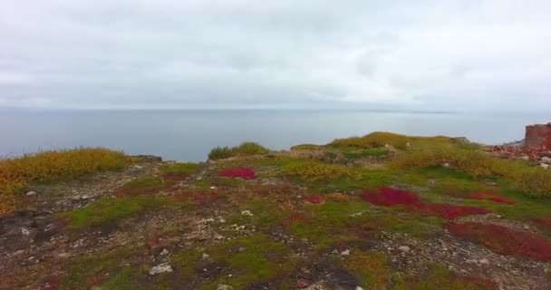 Långt Norrut Vackra Klippor Vid Havet Antenn — Stockvideo