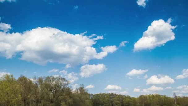 Hermoso Cielo Azul Con Nubes Fondo Nubes Cielo Bosque Clima — Vídeos de Stock