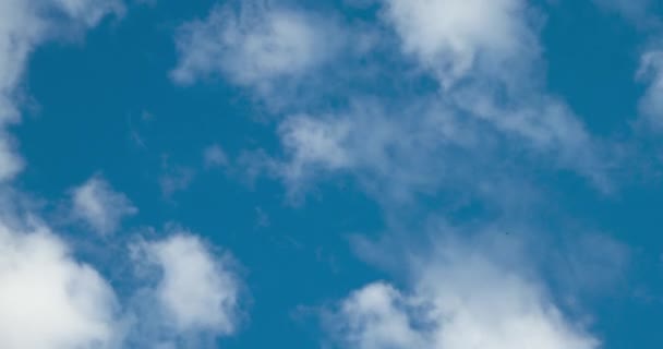 Céu Azul Bonito Com Fundo Nuvens Nuvens Céu Céu Com — Vídeo de Stock