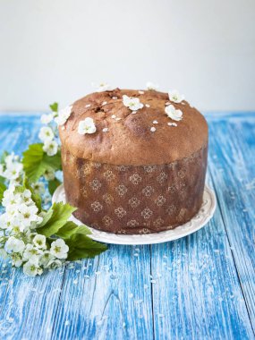  geleneksel İtalyan pannetone kek üzümlü mavi backgro üzerinde