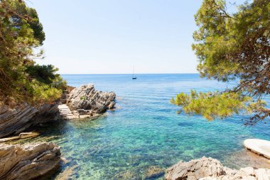 Bay beach Cala Gat Cala Ratjada, İspanya Akdeniz