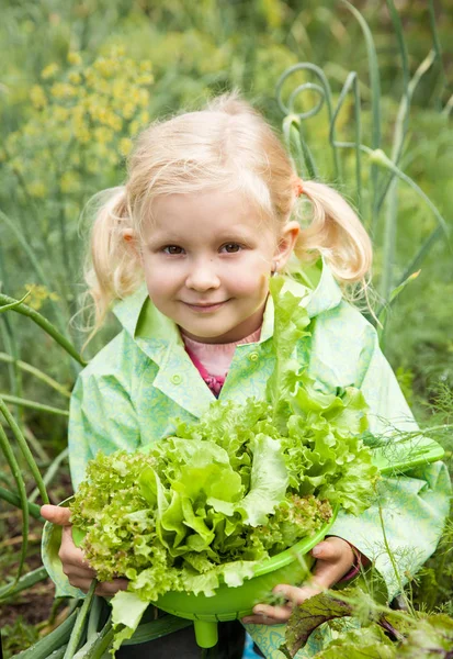 Retrato Infantil Con Hojas Lechuga Orgánica Alimentación Saludable Imagen de stock