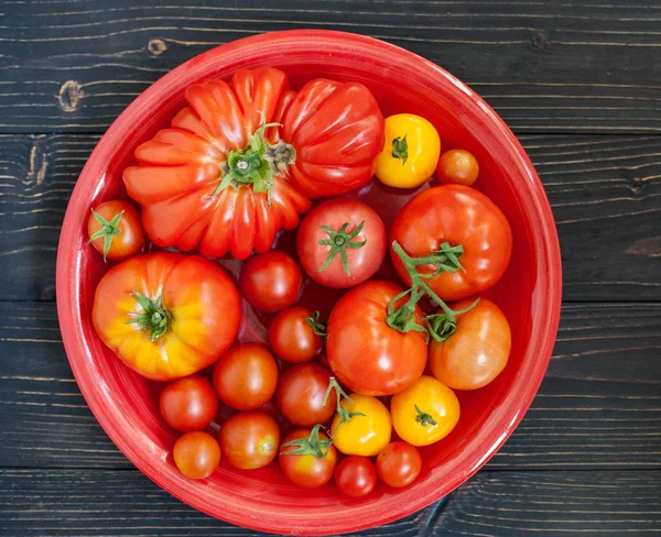 Fresh Tomatoes Clay Plate Acolor Clay Plate Background — Stock Photo, Image