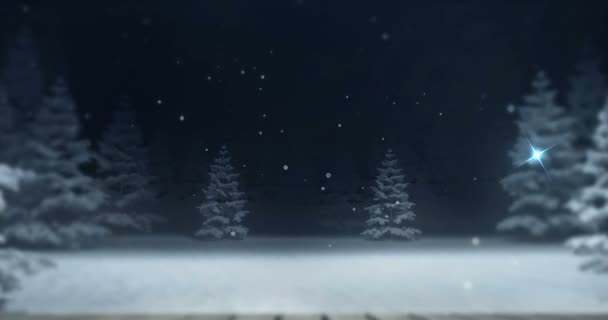 Snowy Wazig Bos Met Houten Front Lege Dek Nachts Winter — Stockvideo