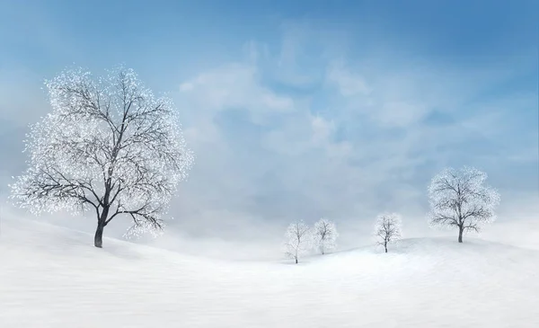 Heldere Winter Vlakten Met Blote Loofbomen Bij Kalm Daglicht Winter — Stockfoto