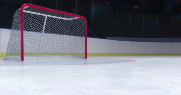 Puerta Gol Con Palo Hockey Revelación Zoom Flash Cámara Detrás — Vídeo de stock