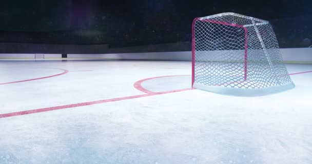 Ice Hockey Stadium Goal Gate Illuminated View Blinking Camera Flashes — Stock Video