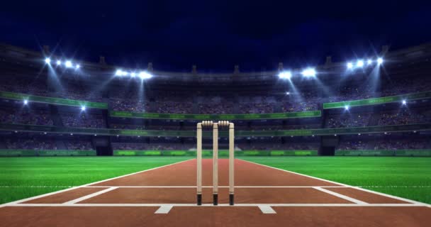 Escena Campo Cricket Nocturno Con Resplandor Foco Móvil Wickets Madera — Vídeo de stock