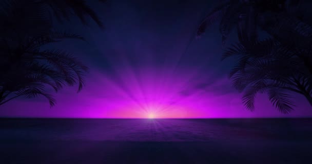 Purple Early Evening Sky Shining Sun Surrounded Tropical Palm Beach — Stock Video