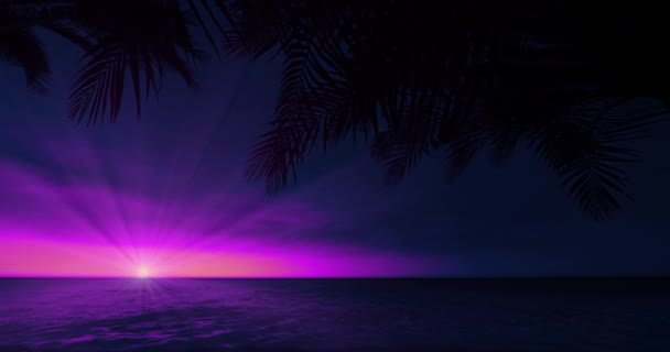 Purple Evening Sky View Shining Left Side Sun Surrounded Tropical — Stock Video