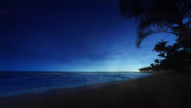 Kumlu plajda palmiye ağaçları ile mavi gökyüzü gündoğumu veya gün batımı görünümü 