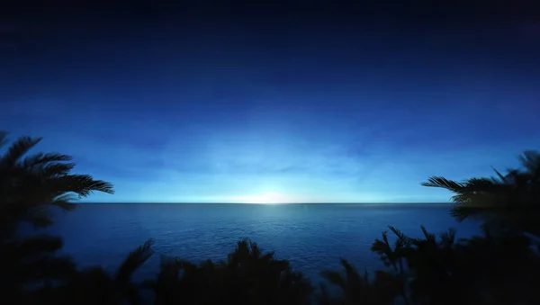 Ciel bleu vue lever ou coucher de soleil avec palmier tropical autour — Photo