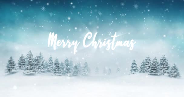 Paysage Hivernal Enneigé Aux Chutes Neige Avec Texte Joyeux Noël — Video