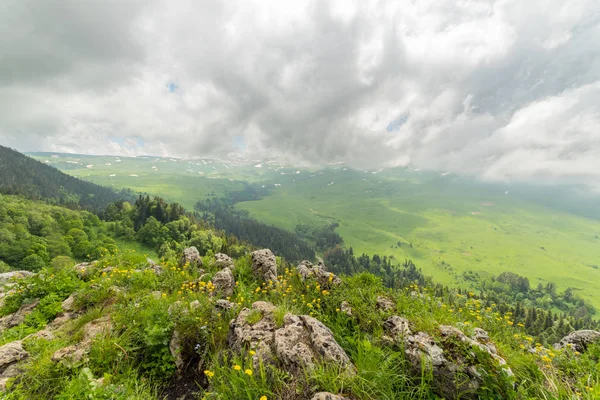 冲破高原高山草甸 — 图库照片