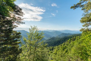 Güzel ormanlık dağ muhteşem manzarası