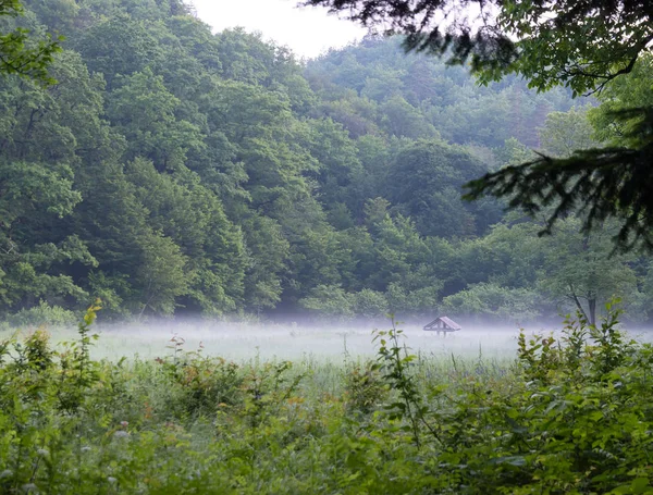 bir de sis bir açıklıkta