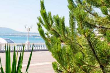 Şehrin deniz manzara