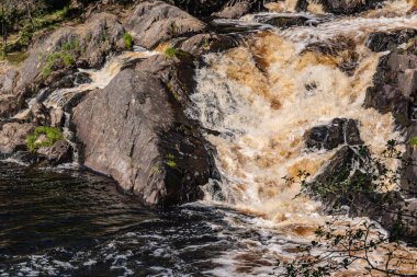Tahmajoki nehir Ladoga Gölü Göl Ruokoyarvi akar. Nehir birçok rapids ve nehir tarifsiz güzellik vermek küçük şelaleler vardır. Karelya. Rusya.