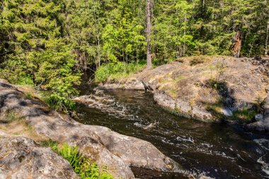 Tahmajoki nehir Ladoga Gölü Göl Ruokoyarvi akar. Nehir birçok rapids ve nehir tarifsiz güzellik vermek küçük şelaleler vardır. Karelya. Rusya.