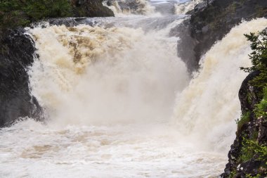 Su acele Streams kayaların arasına çalıştırıyor. Beyaz Köpük ve Sprey Güneş parıldıyor. Yeşil orman taş kıyısında büyür. Gökyüzü mavi rengini suya yansıtılır. Kivach şelale. Karelya. Rusya.