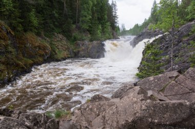Su acele Streams kayaların arasına çalıştırıyor. Beyaz Köpük ve Sprey Güneş parıldıyor. Yeşil orman taş kıyısında büyür. Gökyüzü mavi rengini suya yansıtılır. Kivach şelale. Karelya. Rusya.