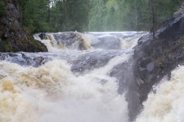 Su acele Streams kayaların arasına çalıştırıyor. Beyaz Köpük ve Sprey Güneş parıldıyor. Yeşil orman taş kıyısında büyür. Gökyüzü mavi rengini suya yansıtılır. Kivach şelale. Karelya. Rusya.