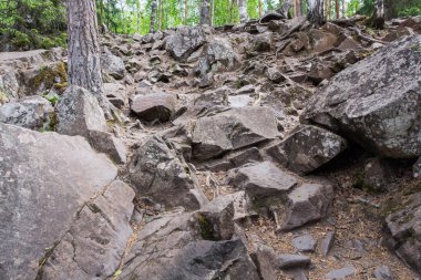 Büyük taşlar, yağmur, Rüzgar, Don ve ısı tarafından yok edilir. Ağaçlar arasında kurulan ağaçların kökleri var. Ağaçların kökleri güçlü taş ayrı itmek