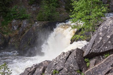 Su acele Streams kayaların arasına çalıştırıyor. Beyaz Köpük ve Sprey Güneş parıldıyor. Yeşil orman taş kıyısında büyür. Gökyüzü mavi rengini suya yansıtılır. Kivach şelale. Karelya. Rusya.