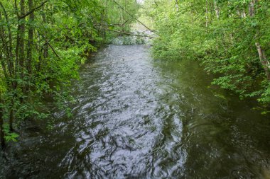 Su acele Streams kayaların arasına çalıştırıyor. Beyaz Köpük ve Sprey Güneş parıldıyor. Yeşil orman taş kıyısında büyür. Gökyüzü mavi rengini suya yansıtılır. Kivach şelale. Karelya. Rusya.