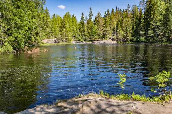 Floden Tahmajoki Rinner Från Sjön Ruokoyarvi Till Sjön Ladoga Floden — Stockfoto
